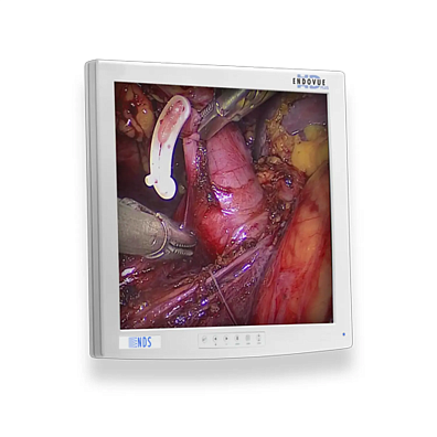 Медицинский монитор EndoVue Plus 19”